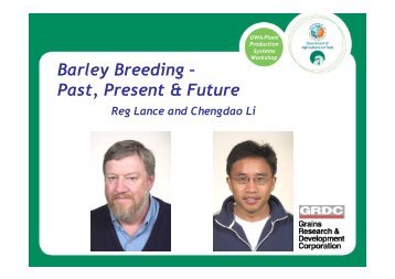 Barley Breeding - The University of Western Australia