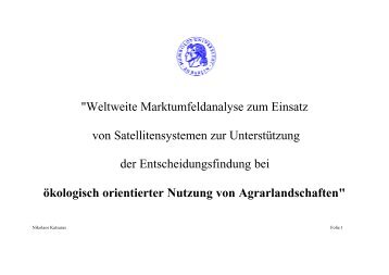 "Weltweite Marktumfeldanalyse zum Einsatz von Satellitensystemen ...