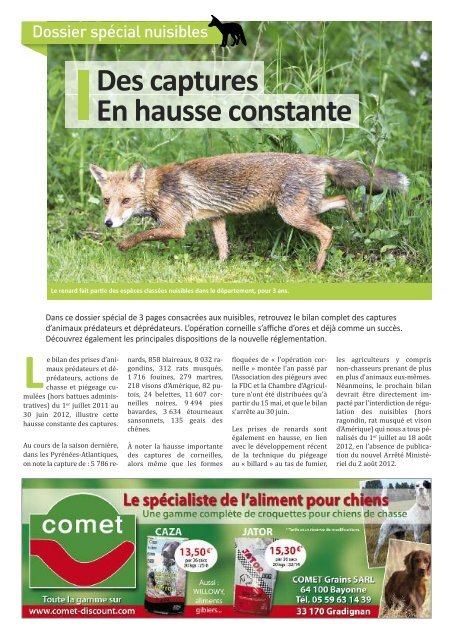 chasser dans le 64 - Fédération Départementale des Chasseurs des ...