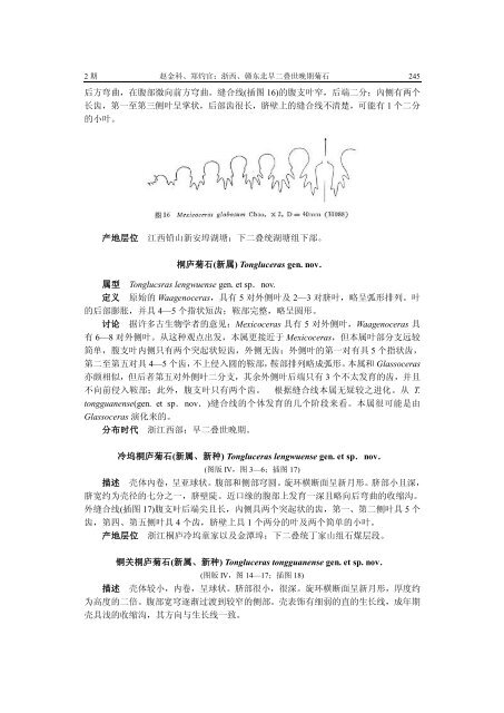 浙西、赣东北早二叠世晚期菊石 - 中国科学院南京地质古生物研究所 ...