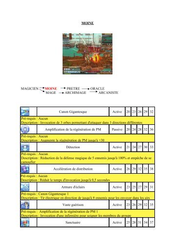 MOINE MAGICIEN MOINE PRETRE ORACLE ... - dragonica-guide
