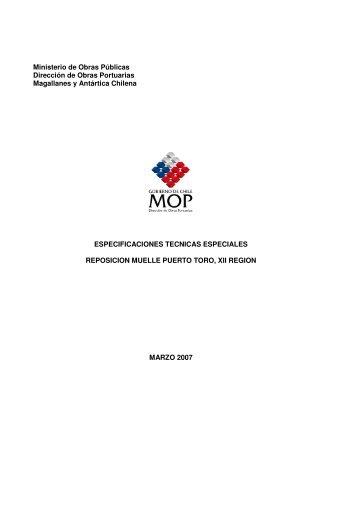 ETE REP MUELLE P TORO_060307.pdf