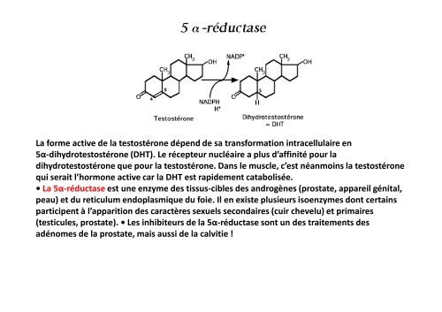 Hormones steroides - Médecine Algérie