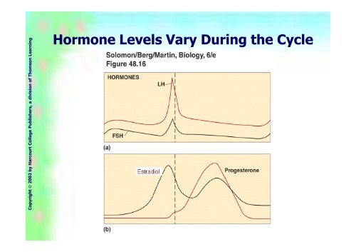 Hormones steroides - Médecine Algérie