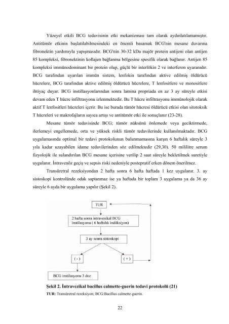 mesane üroepitelyal tümörlerinde transüretral rezeksiyon sonrası ...