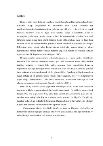 Metin (PDF)