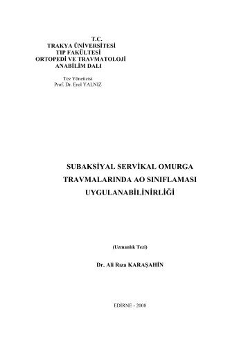 subaksiyal servikal omurga travmalarında ao sınıflaması