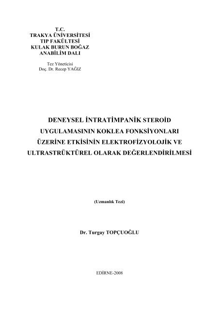 DENEYSEL İNTRATİMPANİK STEROİD