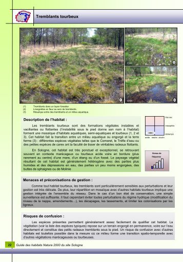 Tremblants tourbeux - le site Natura 2000 Sologne