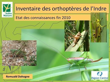 Rencontre Entomo RC 2010 Orthoptere Indre.pdf - Indre Nature