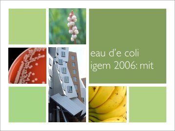 eau d'e coli igem 2006: mit