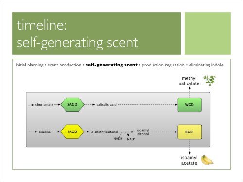 eau d'e coli igem 2006: mit