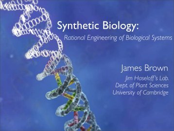 Synthetic Biology: - iGEM 2006