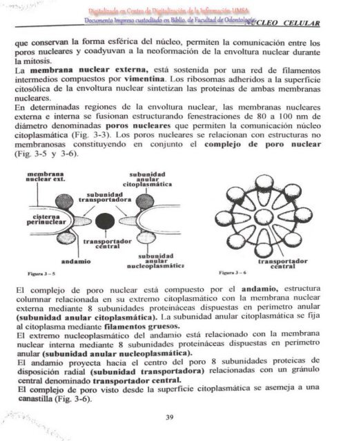 do - Bibliotecas Digitales