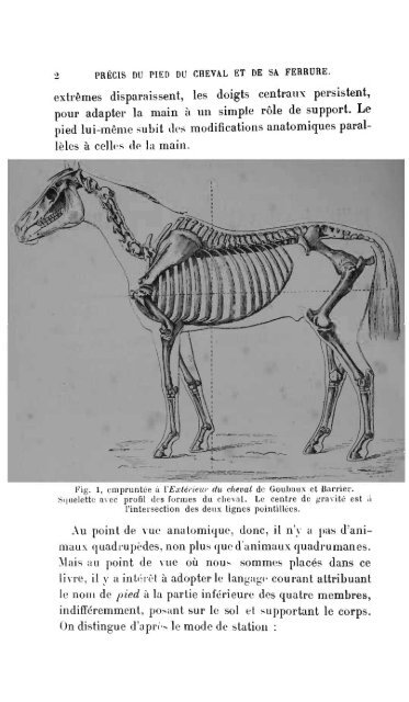 pied du cheval - Biblioteca Digital de Obras Raras e Especiais - USP