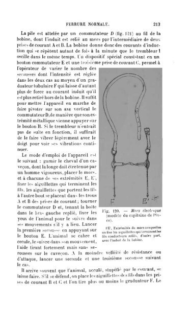 pied du cheval - Biblioteca Digital de Obras Raras e Especiais - USP