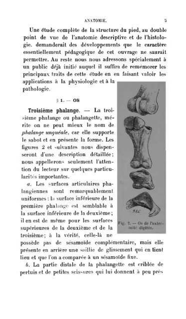 pied du cheval - Biblioteca Digital de Obras Raras e Especiais - USP