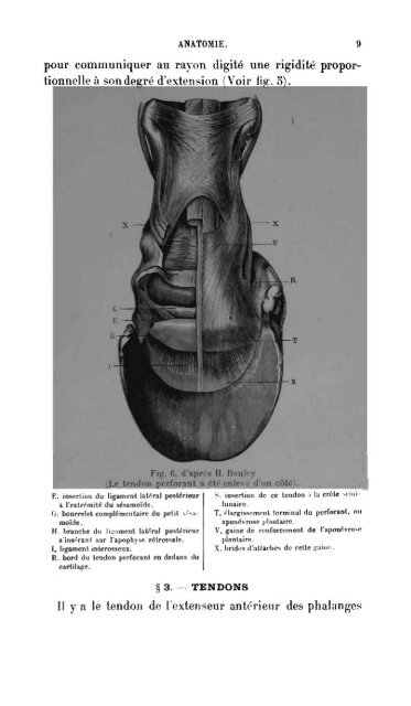 pied du cheval - Biblioteca Digital de Obras Raras e Especiais - USP