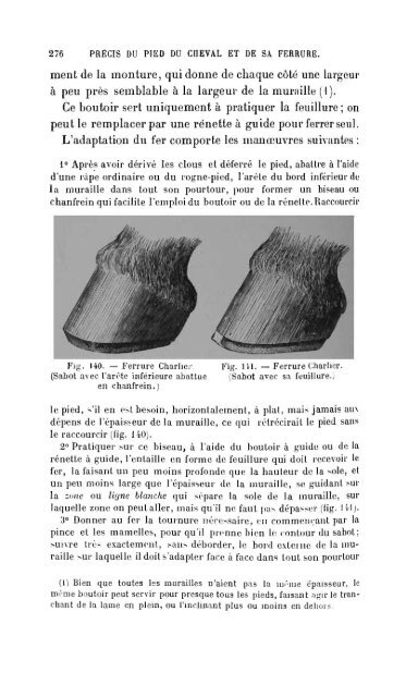 pied du cheval - Biblioteca Digital de Obras Raras e Especiais - USP