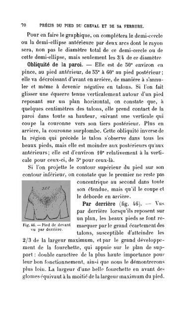 pied du cheval - Biblioteca Digital de Obras Raras e Especiais - USP