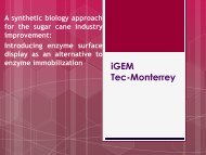 Tec-Monterrey Presentation - iGEM