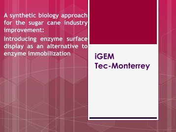 Tec-Monterrey Presentation - iGEM