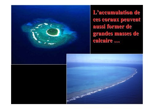 Comment les pierres racontent la Terre (2011 - Pierre THOMAS ...