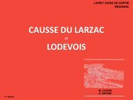 Guide Larzac Lodévois_09_ M. Caunes et A. Riffard