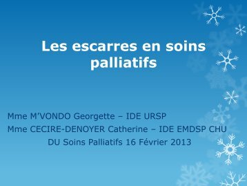 Les escarres et plaies difficiles en soins palliatifs.pdf