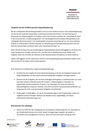Vorlage PDF Kapaplanung Handlungsleitfaden FL - präwin