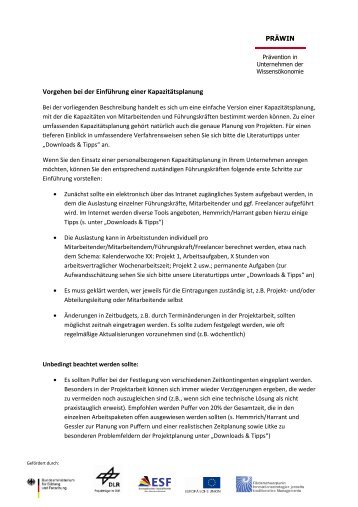 Vorlage PDF Kapaplanung Handlungsleitfaden MA - präwin