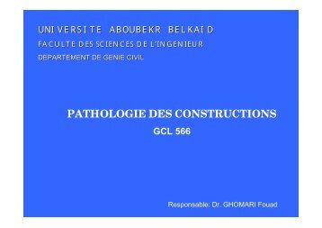 PATHOLOGIE DES CONSTRUCTIONS