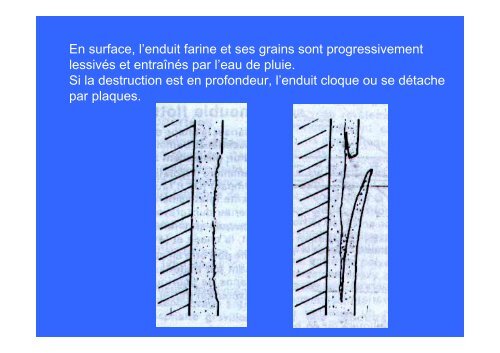 PATHOLOGIE DES CONSTRUCTIONS