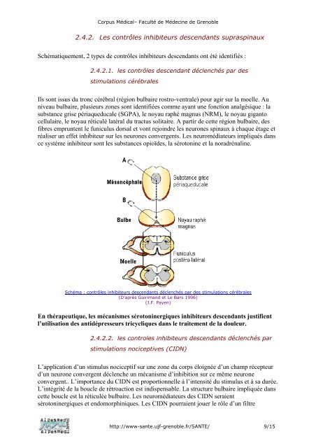 Bases physiopathologiques et évaluation de la douleur (65)