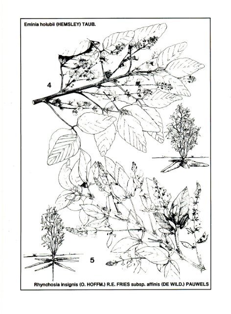 48 Belgian Journal Of Bot