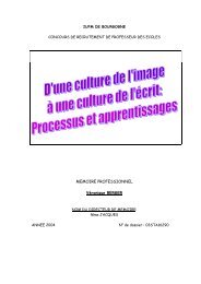 MEMOIRE PROFESSIONNEL Véronique BERGER - IUFM