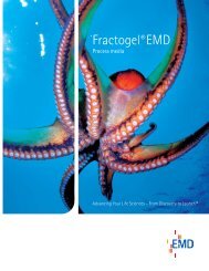Fractogel EMD Biochromatography Media - EMD Chemicals