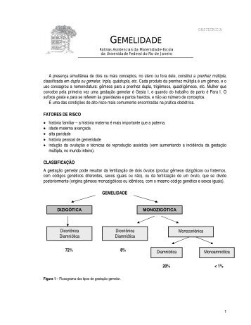 GEMELIDADE - Maternidade Escola da UFRJ