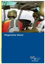 Fliegerischer Dienst