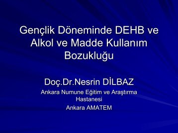 Gençlik Döneminde DEHB ve Alkol ve Madde Kullanım Bozukluğu