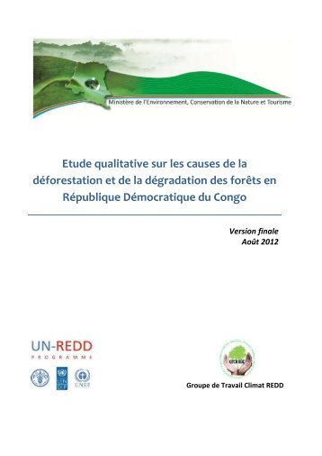 Etude qualitative sur les causes de la déforestation et de la ...