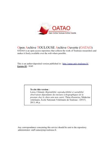 PDF (Author's version) - OATAO