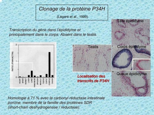 Indications à la cryoconservation des gamètes