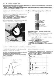 DS 2012-13 - svtCharlie