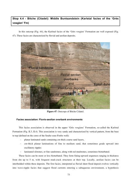 International Field Workshop on 'The Triassic of eastern France'