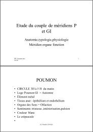 Etude du couple de méridiens P et GI power point [Mode de ...