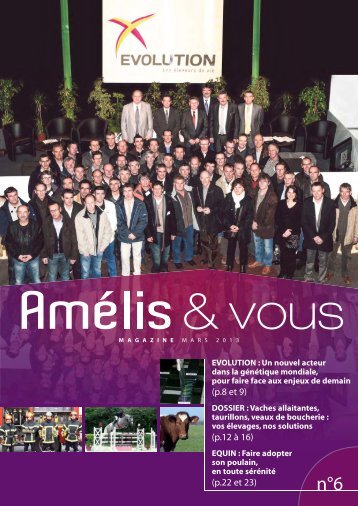 Magazine_28p Amelis et vous N∞6_02_2013_ok_Mise en ... - Amélis