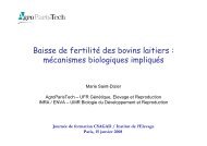 Baisse de fertilité des bovins laitiers - AgroParisTech