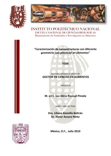 INSTITUTO POLITÉCNICO NACIONAL - Tesis en el IPN - Instituto ...