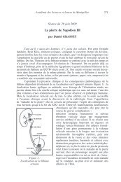 La pierre de Napoléon III - Académie des Sciences et Lettres de ...